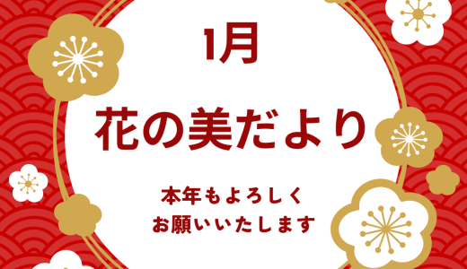 保護中: 花の美だより